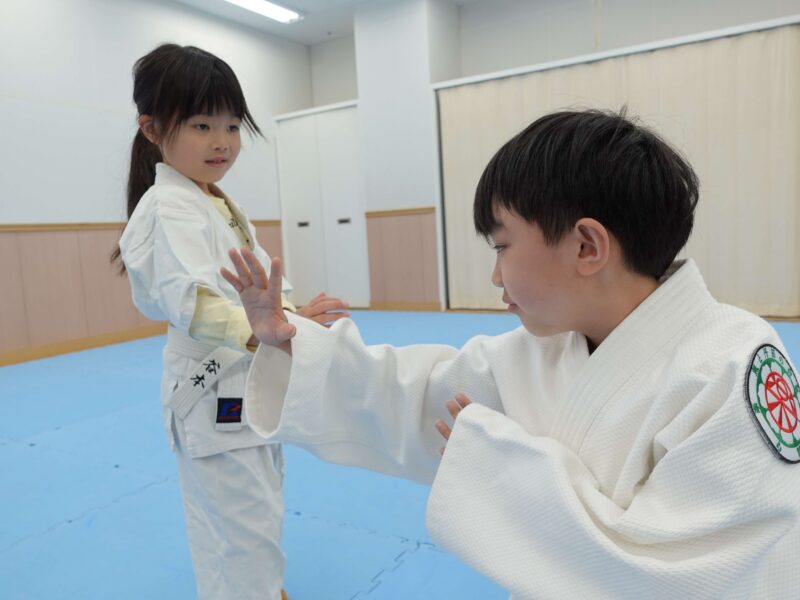 楽心館 本部道場（合気道･剣術/大東流/浅山/居合術)女性クラスあり